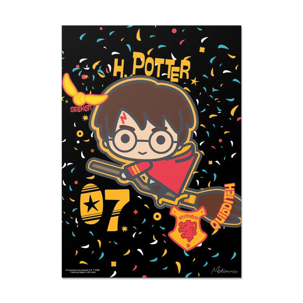 Harry Potter - Seeker