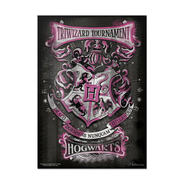 Harry Potter - Triwizar Tournament