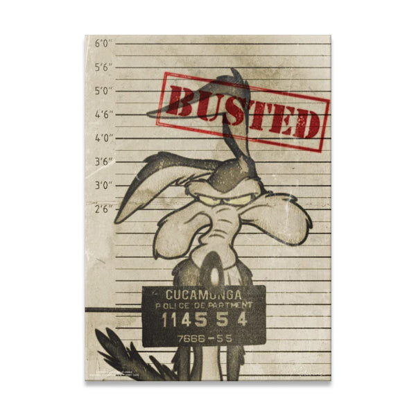 Looney Tunes - Busted