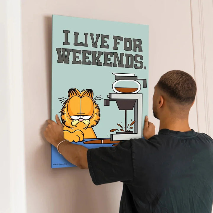 Garfield - Weekend - Motivinci